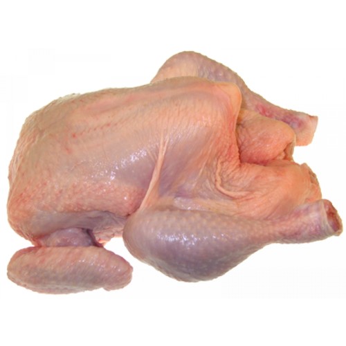 Pollo scelta - pollo,